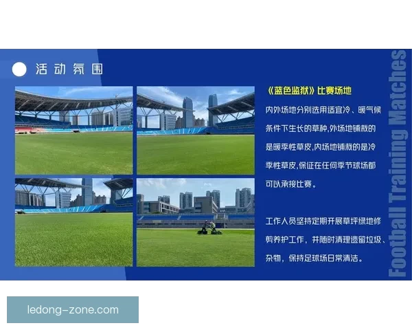 聚焦2026世界杯球场城市群的赛事文化与体验全景解析深度观